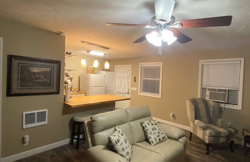 Elkins Cottage | The Bear BnBee-Quaint Cottage in Charming Elkins