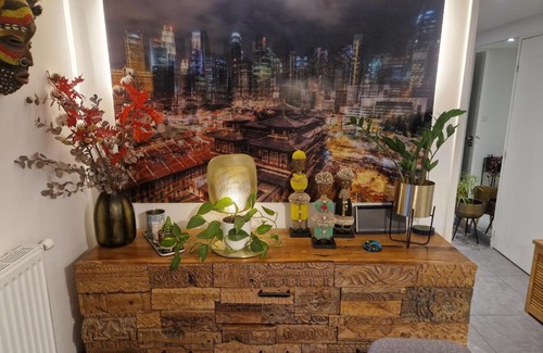 Croix Rousse Apartment | The Big Rock