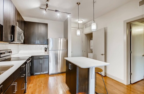 Holly Apartment | The Bindel, East Austin, Highly Walkable + Pets Welcome!