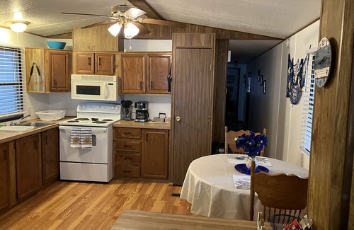 Harlingen House | The Blue Palm, with Pool!