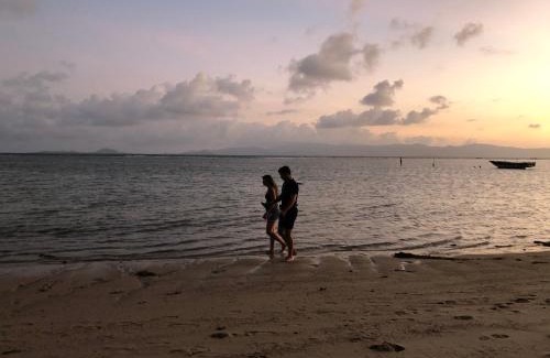 Ko Pha-ngan Hotel | The Brown house