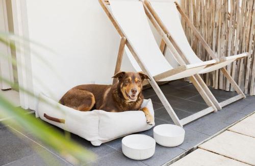 Brunswick Heads Hotel | The Brunswick, Brunswick Heads