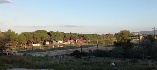 Isthmia House | The Byzantine Wall House