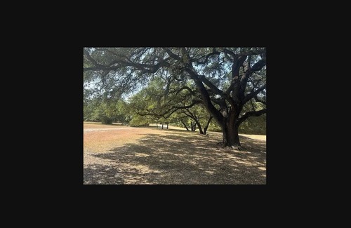 Waco House | The Chalk Bluff Lodge