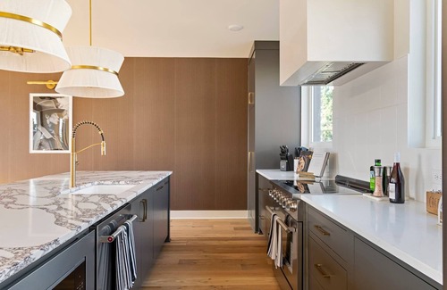 Chestnut Hill House | The Chestnut – Brand New. + Rooftop Skyline Views