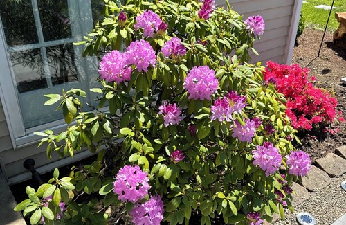 Athol Springs House | The Club House