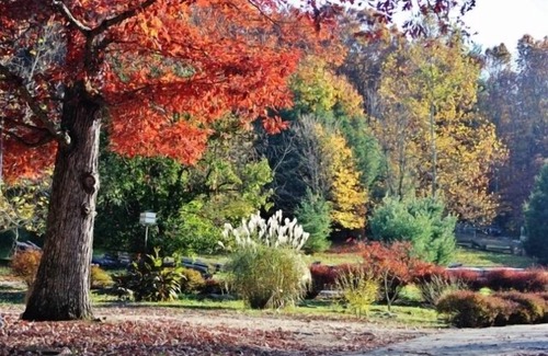 Goldbond Cabin | The Cowboy Cabin at Four Fillies Lodge