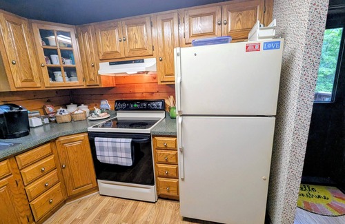 Nescopeck Cabin | The Cozy Cabin, 4 BR, 2 bath home on 5 private acres in NE PA. Family Friendly!