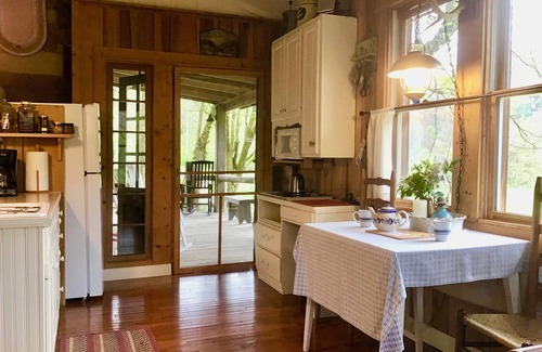Irvine Cabin | The Cozy Cabin – A Historic Chestnut Log Haven in the Holler
