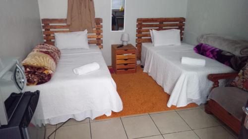 Springs House | The Croc Backpackers