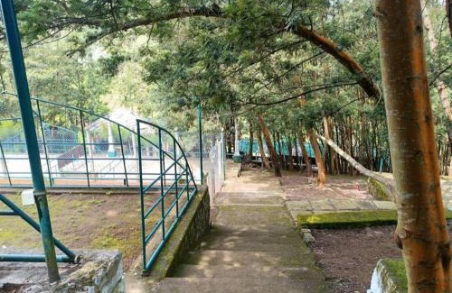Kotagiri Resort | The Den by Trees