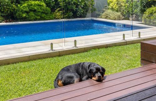 Pottsville House | The Doggy Beach House at Pottsville