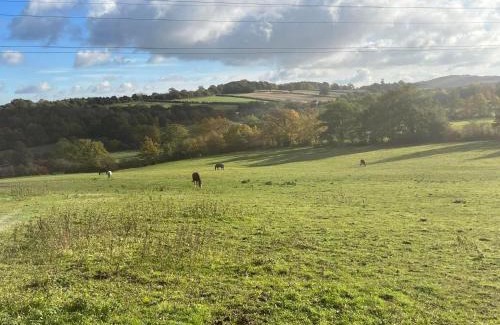 Shepshed House | The Farm Barn