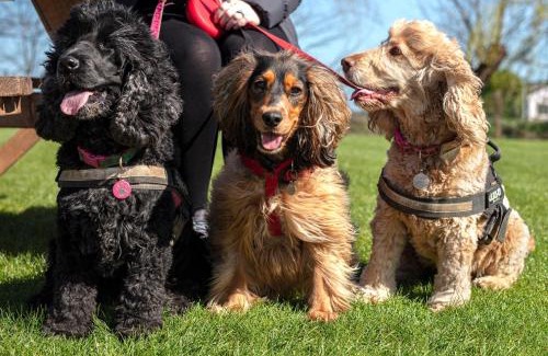 Woodham Ferrers Bed & Breakfast | The Ferry Boat Inn