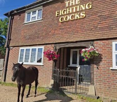 New Forest District Hotel | The FightingCocks