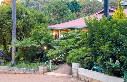 Pemberton Apartment | The Forest Studio Deluxe King Suite with Kitchen and Forest Hill Views