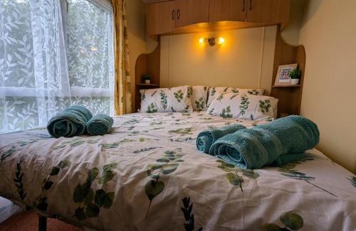 Westbrook Court Other | The fox den