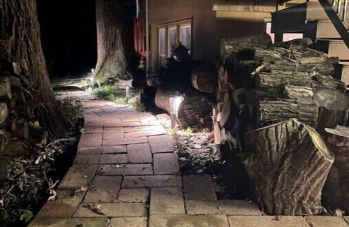 Ames House | The Fox Den