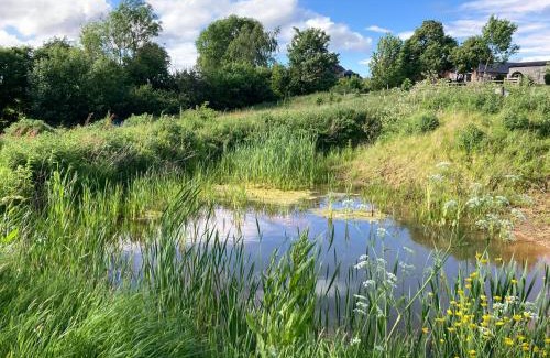 Overton-on-dee House | The Gin Palace with cozy logburner