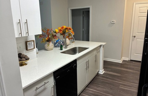 Atlanta Apartment | The Golden View Of Atlanta