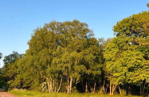 Martlesham Heath House | The Grange Luxe2, 5 Bedroom House,Spacious,contractor,family,Internet,free parking,group,study,relocation,easily accessible in Ipswich,Kesgrave