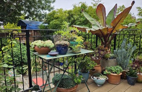 Portsmouth House | The Greenhouse