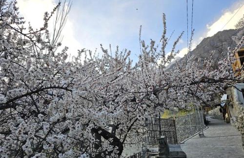 Karimabad Resort | The Guest House Hunza