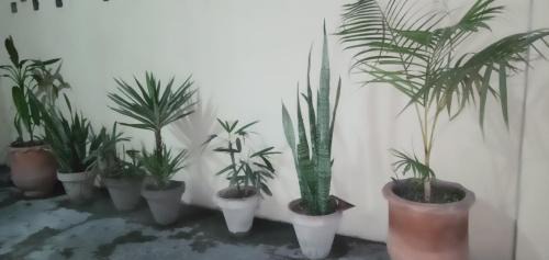 Lahore Apartment | The Guest House Lahore - Rooms & Appartments