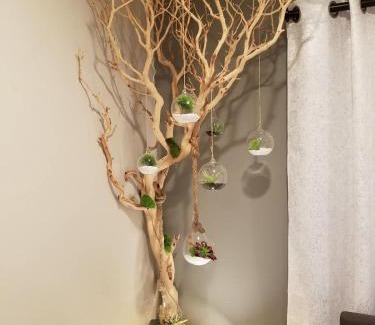 Hillcrest House | The Hideaway