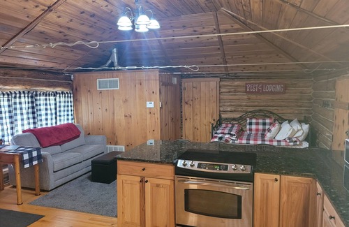 Oscoda Cabin | The Hideout - Cute, Peaceful, and Dog-Friendly Rustic Cabin on Au Sable River