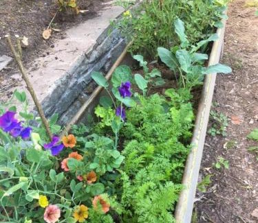 Llanfihangel Tal-y-llyn House | The Hillis Farmhouse - 6 Bed - Sleeps 11 - Pets