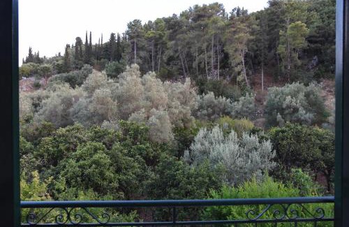 Amfilochia Apartment | The house of Victo-Ria