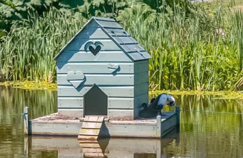 Lifton House | The I-Hut - Uk48330