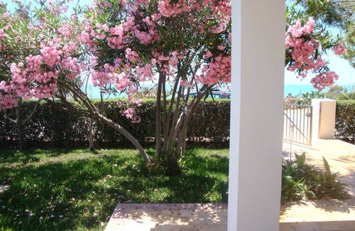 Punta Braccetto Villa | The Villette di Cala Vigliena -