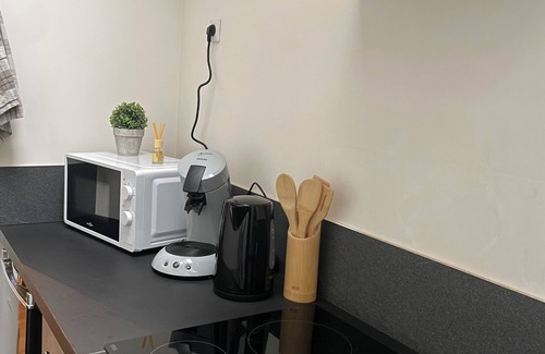 Troyes Apartment | The jungle room