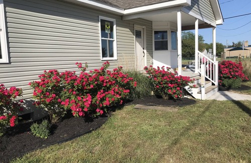 Villas House | The Kraken House