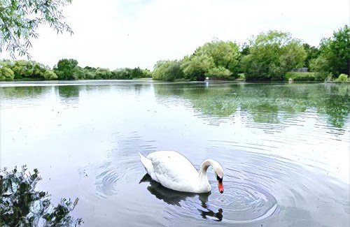 Woking Villa | The Lake House, Woking