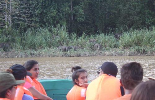 Kampung Bilit Cabin | The Last Frontier Boutique Resort