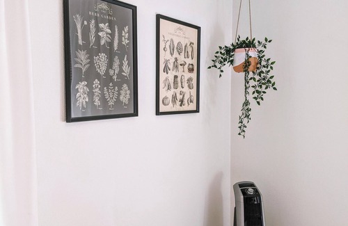 Springfield House | The Lincoln Cottage ~ 4 bedrooms in Central Location