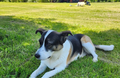 Mission House | The Loft in Mission