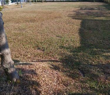 Jinhu House | The Louts Villa