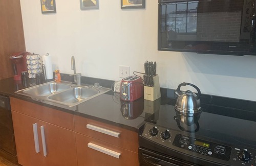 Downtown St. Louis Apartment | The Luxe Art Gallery-Downtown St. Louis