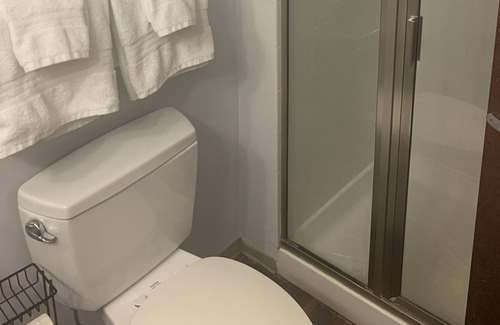 Downtown St. Louis Apartment | The Luxe Art Gallery-Downtown St. Louis