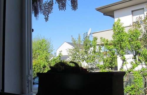 Cinquale House | THE MAISON OF MARIO BIS