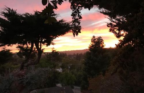 Bananna Belt House | The Midtown Cottage- w/Private Entrance and Views