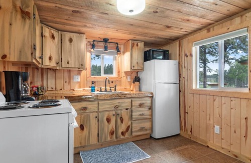 Custer Apartment | The Monet: Sauna + Firepit + Needle Views