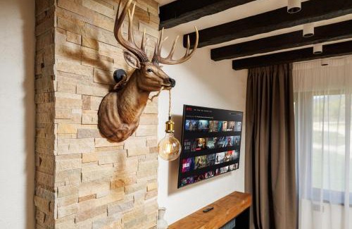 Vladeni Apartment | The Moon - Poiana Brasov