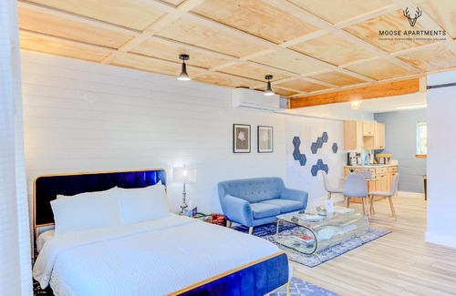 Downtown Memphis Apartment | The Moose #3 - Modern Luxe Studio with Free Gated Parking & Wifi