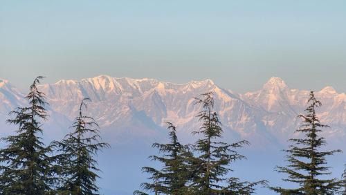 Naina Range Other | The Mystic Pines