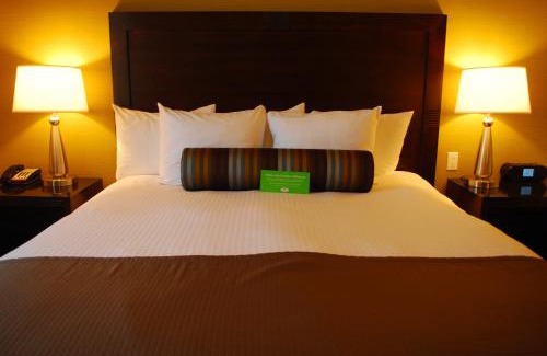 Paso Robles Hotel | The Oaks Hotel & Suites